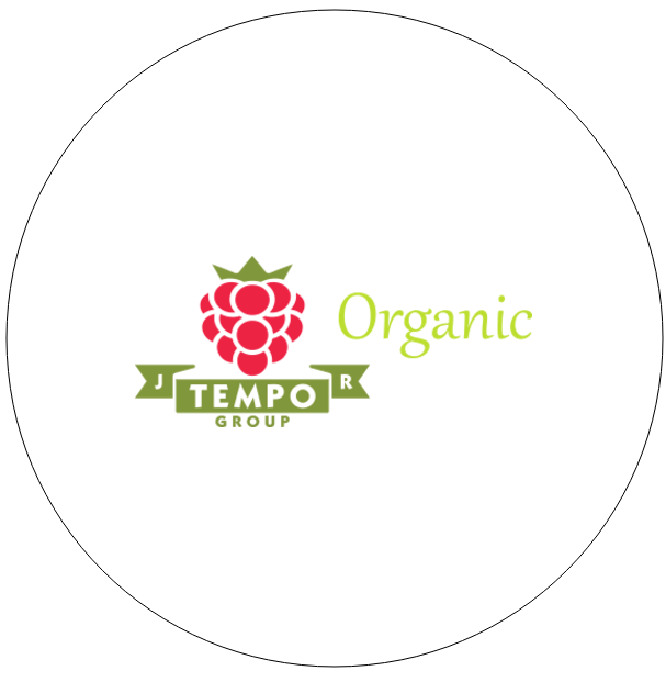 Tempo foods